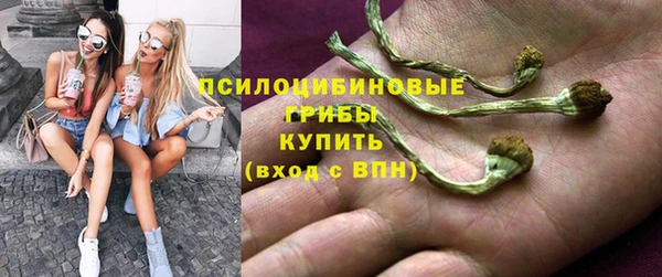 экстази Краснослободск